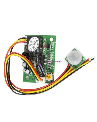 12v pir pyroelectric - dc,